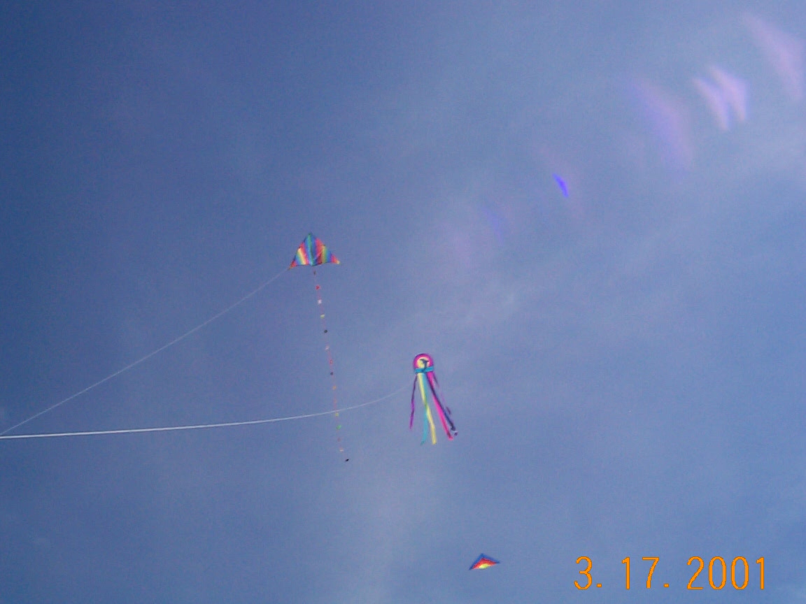 ./2001/Kite Day/DCP00631.JPG